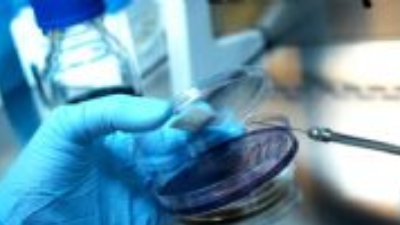 ISO 6579 Salmonella aranması ISO 6579 Salmonella aranması