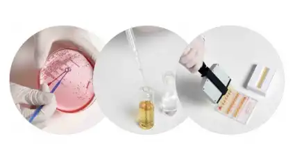 SensiQuattro Gram-negative EU