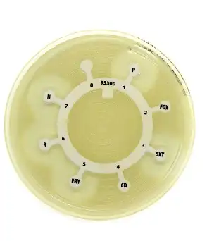 Multodisc