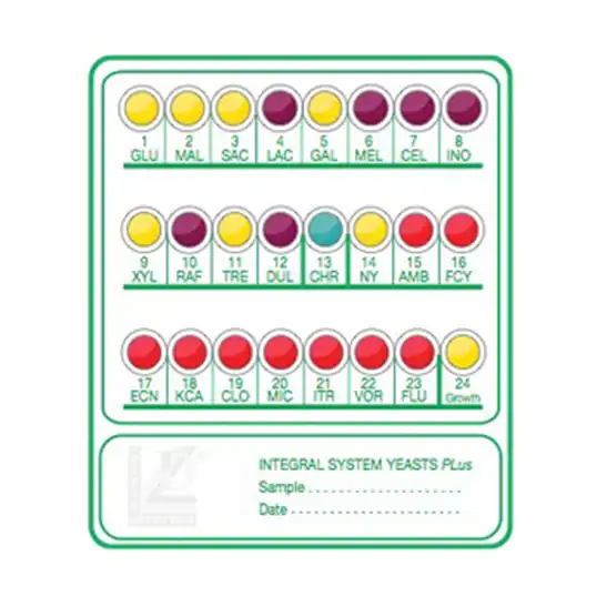 Integral System YEASTS Plus