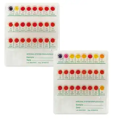 Integral System ENTEROBACTERIA