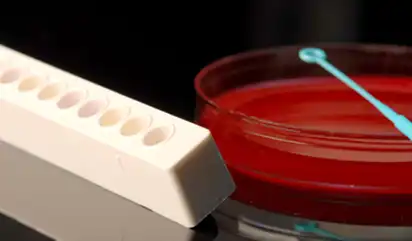 Microgen™ Listeria-ID